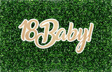 18 Baby Event Sign